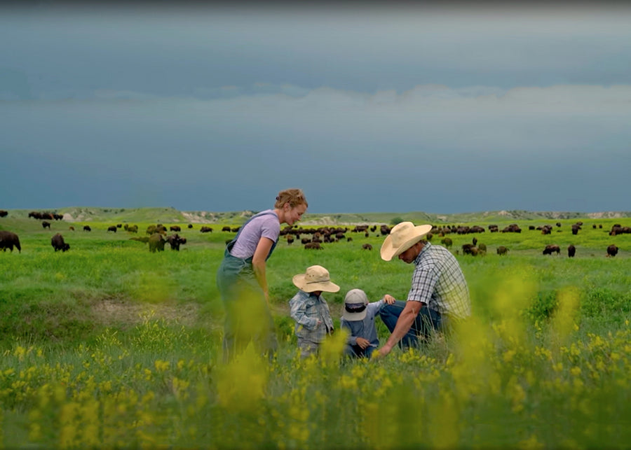 Our Bison Impact: Making a Positive Ecological Change