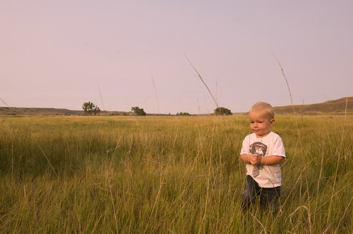 Prairie Roots