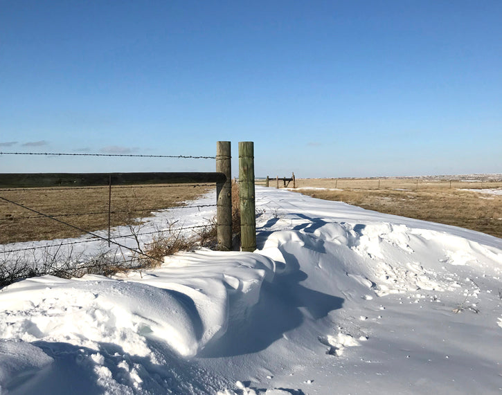 The Endless Prairie Wind