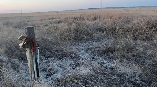 Ranching for Wildlife