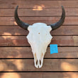 Load image into Gallery viewer, buffalo skull with I9 tag