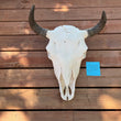 Load image into Gallery viewer, buffalo skull with J10 tag