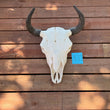 Load image into Gallery viewer, buffalo skull with K11 tag