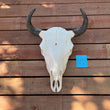 Load image into Gallery viewer, buffalo skull with N14 tag