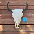 Load image into Gallery viewer, buffalo skull with O15 tag