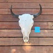 Load image into Gallery viewer, Buffalo Skull with S19 Tag