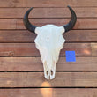 Load image into Gallery viewer, Buffalo skull with U21 tag