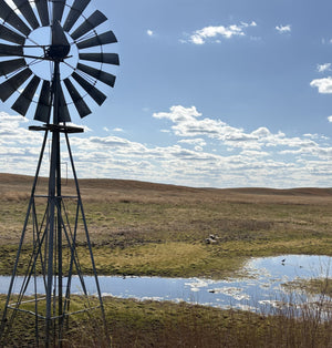 Deer Creek, Detours, and the Weight of Memory