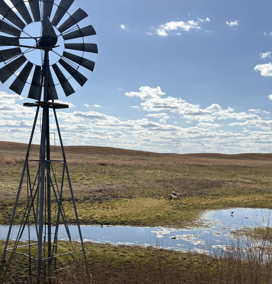 Deer Creek, Detours, and the Weight of Memory
