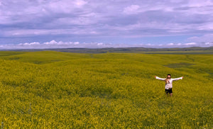 Woman standing in field of sweet clover with arms outstretched
