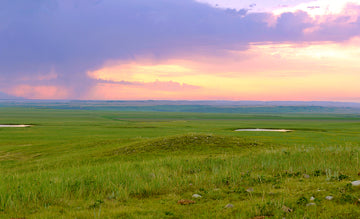 The Hidden Beauty of the Great Plains Prairies