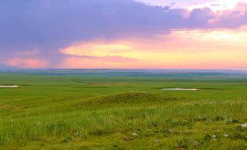 The Hidden Beauty of the Great Plains Prairies