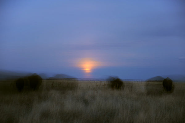 Ghosts of the Great Plains