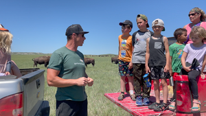 colton talking to children about the prairie while out on the prairie with buffalo herd in background