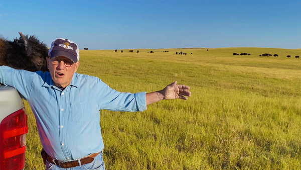 dan o'brien standing on prairie with buffalo herd in the background and a buffalo head behind him