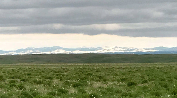 Green ranch pasture in South Dakota