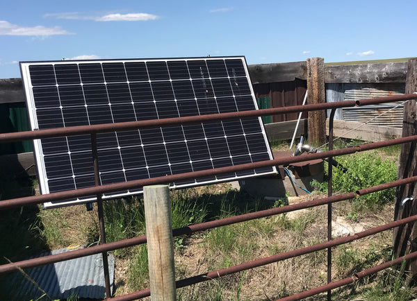 Solar panel on 100% grass-fed buffalo ranch