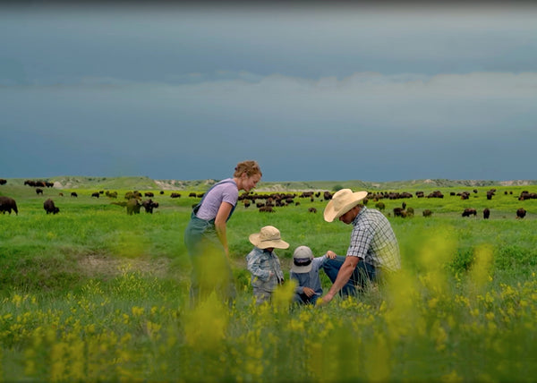 Our Bison Impact: Making a Positive Ecological Change