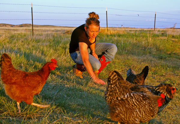Jilian feeding chickens on the Jones homestead 