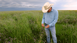 dan in a white cowboy hat standing in a healthy prairie pasture on the great plains