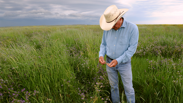 dan in a white cowboy hat standing in a healthy prairie pasture on the great plains