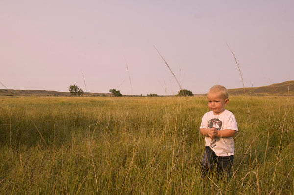 Prairie Roots