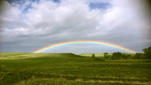 How Four Ross Students Found Community on the Prairie