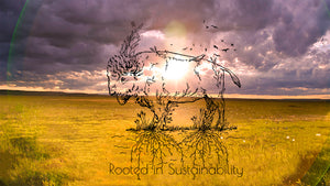 Bison Rooted in Earth