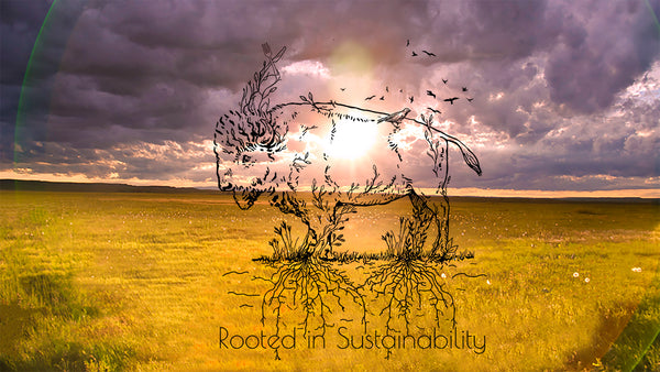 Bison Rooted in Earth