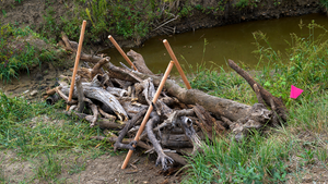 simulated beaver dam