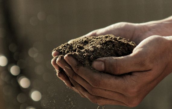 holding soil