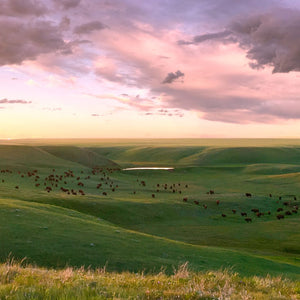 sunset over prairie bowl