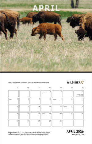 2026 Calendar