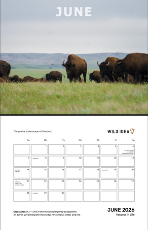 2026 Calendar