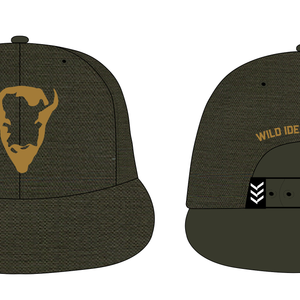 Graphic WIB Hat