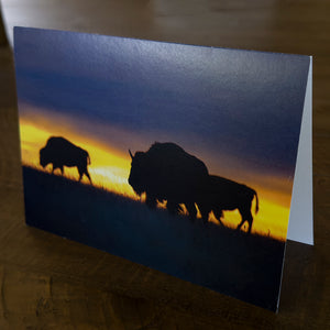 Individual Bison All Occassion Card