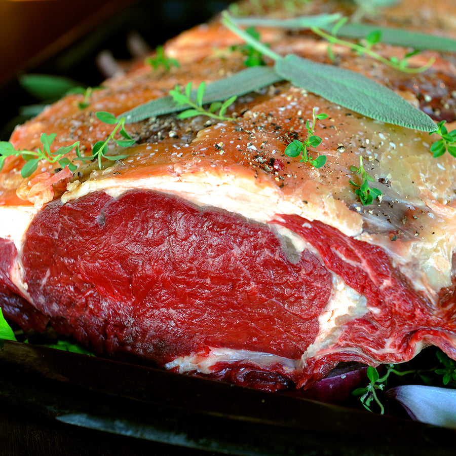 100% grass-fed and field harvested bison prime rib roast