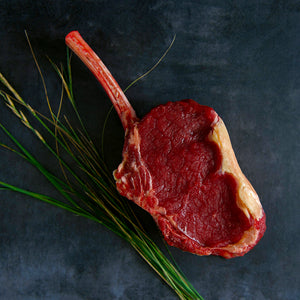 100% grass-fed and field harvested raw bison bone-in ribeye steak